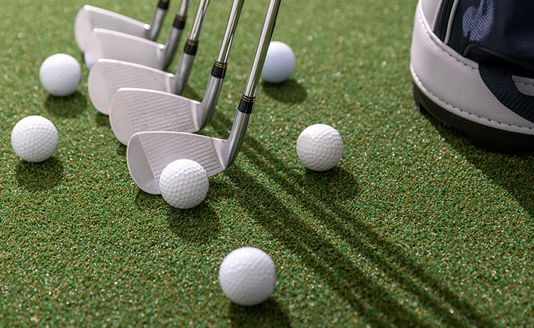 파크골프산업과 관련이미지2